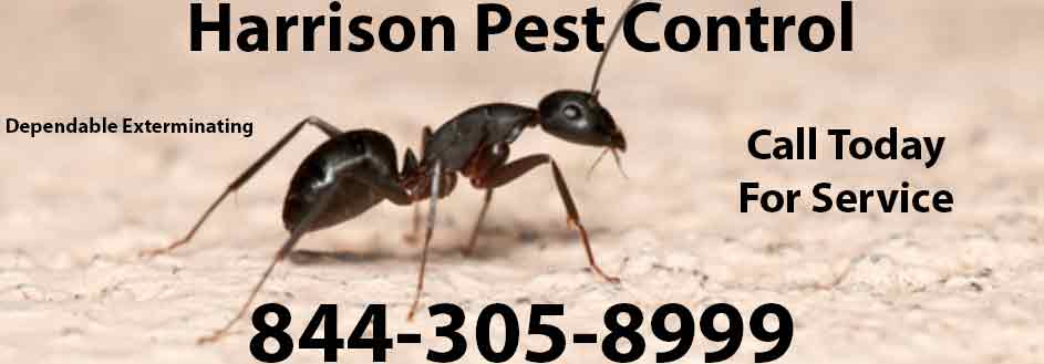 Harrison Pest Control