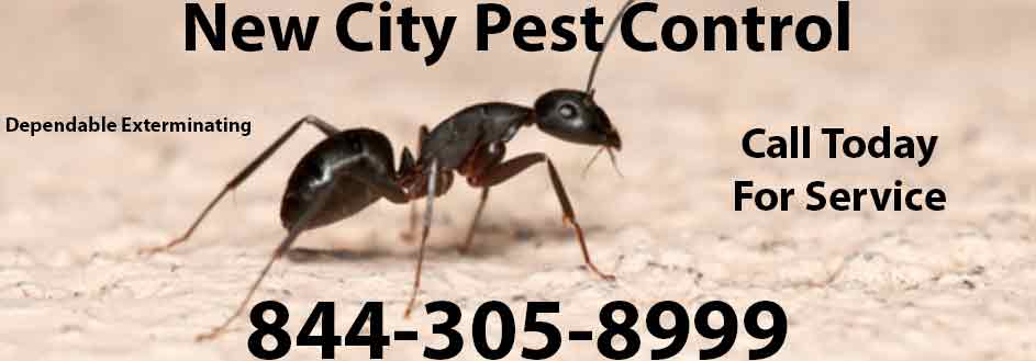 New City Pest Control