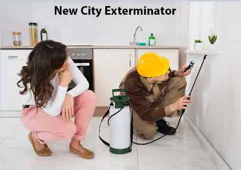 New City Exterminator