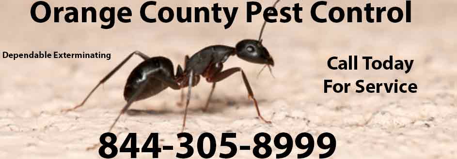 Orange County Pest Control