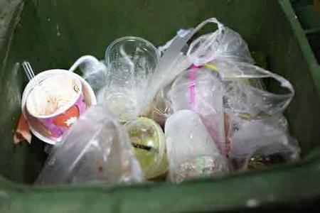 Silverfish Breeding In Garbage