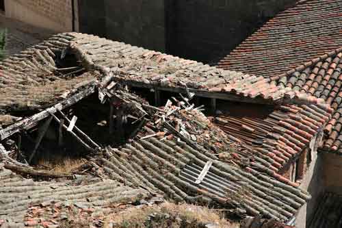 Squirrel Roof Damage