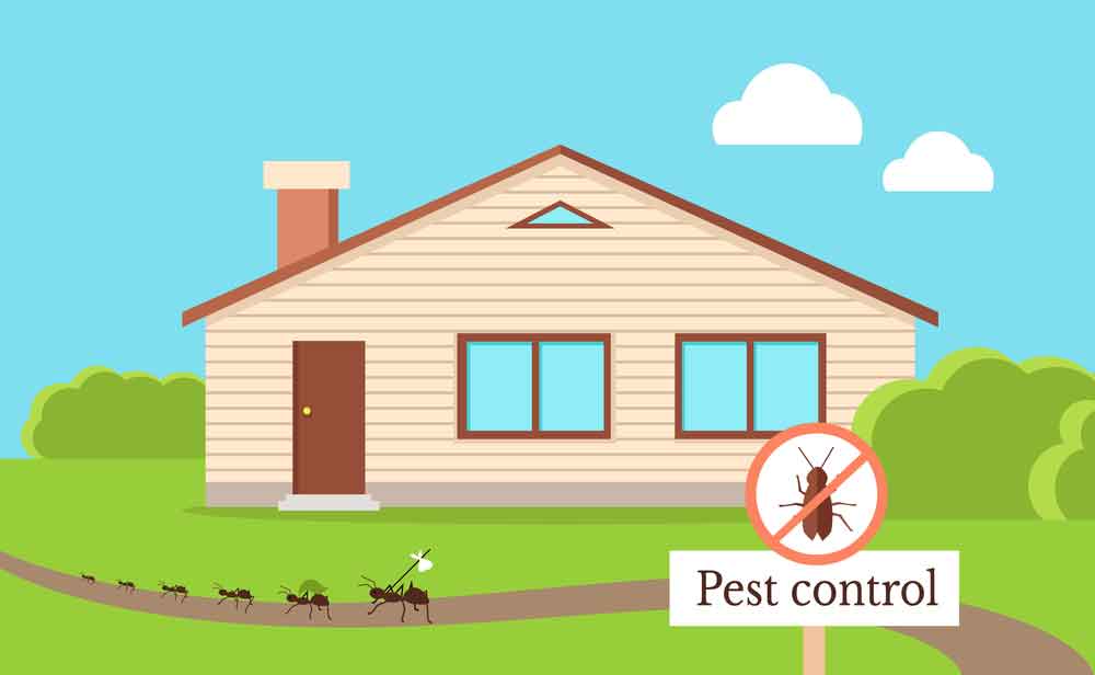 Home Pest Control