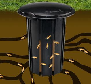 Advance Termite Bait System