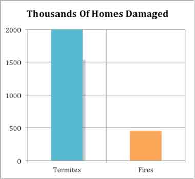 Termite Damage Statistics